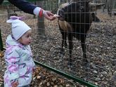 Первый день в детском саду