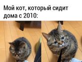 Размышления...