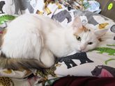Пришла домой, переоделась..