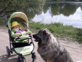 Муж хочет 3 ребёнка ,но я понимаю
