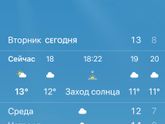 Немного летних фото....
