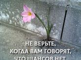 Шанс есть всегда )