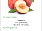 Привет 2 триместр !)