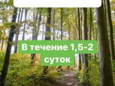 Запуталась окончательно....