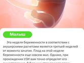 5 неделя. Беременность по неделям🌟