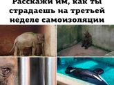 Фотография 2020-04-14 17:18:15