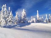 Всем привет)