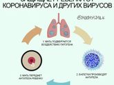 Как ГВ защищает детей от коронавируса и других вирусов