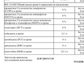 Девочки что скажете?