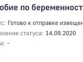 Кто разбирается, что означает этот статус? И почему не указана сумма декретных?
