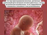 Кто рожал в Отто? Спб