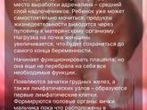 8 неделя👏🏻