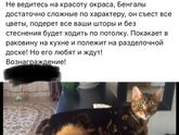 Прочитала сейчас в местной группе в вк ?