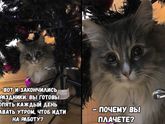 Сегодня ровно 10 недель