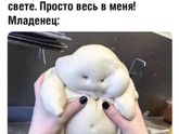 Минутка юмора?