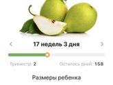 Груша