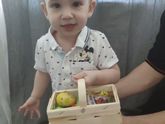 О собаках