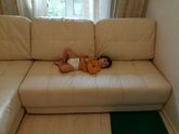 Скучно одному ему дома,