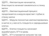Ощущения после переноса 5 дневочки🙏❤️