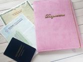 нежная папка для детских документов