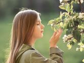 В этом году все как-то особенно красиво цветет:)