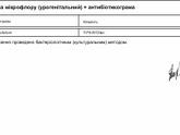 О чем говорят завышенные лактобактерии в мазке?