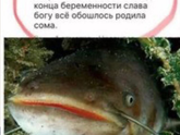 Кто сома родила?