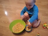 Тематическая неделька "Домашние животные" . День 4. Курица, петух, цыпленок