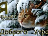 Доброе утро ??.
