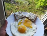 Аня хозяюшка или мое раннее утро