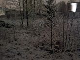 Первый снег конкретный.