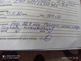 Поперечная положение плода