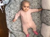 Пирог обыкновенный.