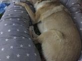 Подушка для беременных