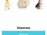 14 неделек ❤