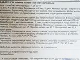 Наше первое УЗИ ❤️