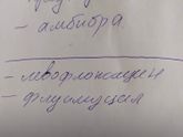 Коронавирус ???