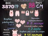 Постеры-метрики