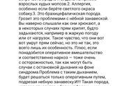 Здравствуйте!