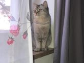 Девочки подскажите , может знаете ???
