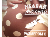 28-29неделька )))