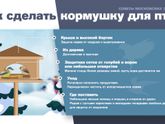 Подкармливаете ли птиц зимой?