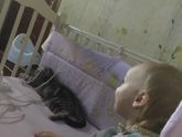 Усатый нянь 😽