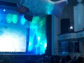 Сезон елок)Отгуляли представление в
