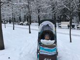 Санки-коляска Ростов