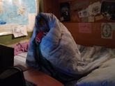 Холодно? Теплых вам фоточек с котиками и пледиками )))
