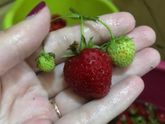 Чем занимаетесь по ночам