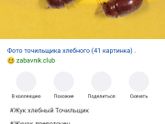 Ужас Уезжали с