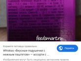 Моему коту 17 лет,
