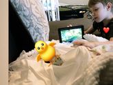 Кс 35недель 🐣